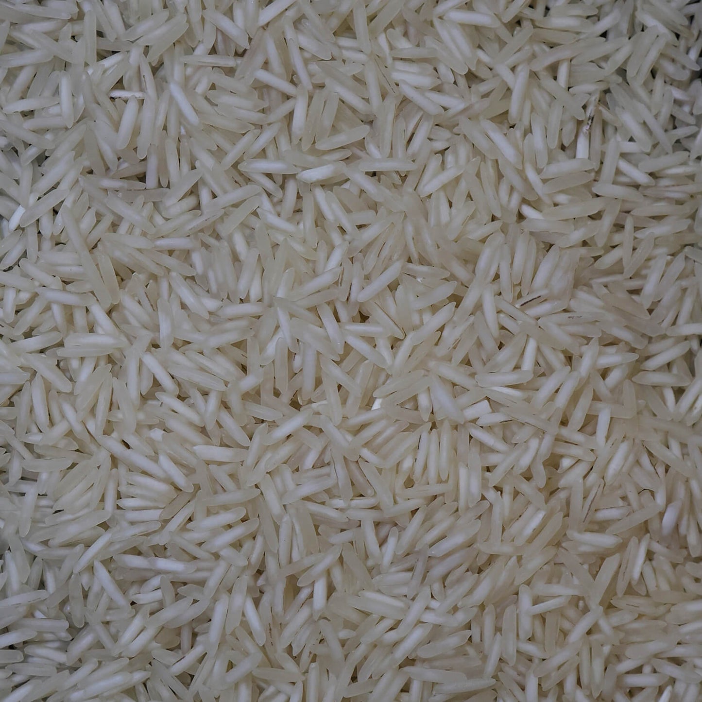 Kharif Gold Rice (Extra long grain aromatic basmati rice)