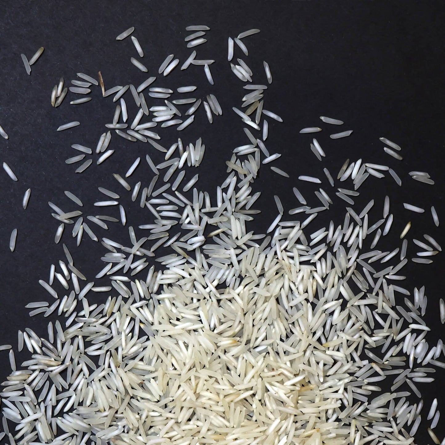 Kharif Gold Rice (Extra long grain aromatic basmati rice)